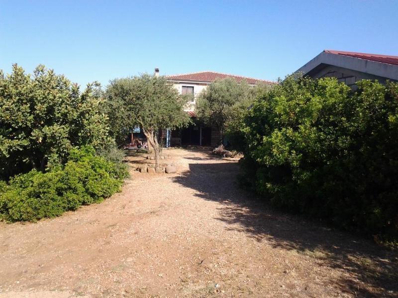 Agriturismo Sa Murta In Sennariolo-Oristano Buitenkant foto