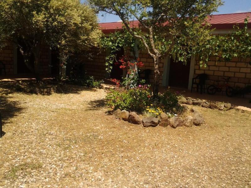 Agriturismo Sa Murta In Sennariolo-Oristano Buitenkant foto