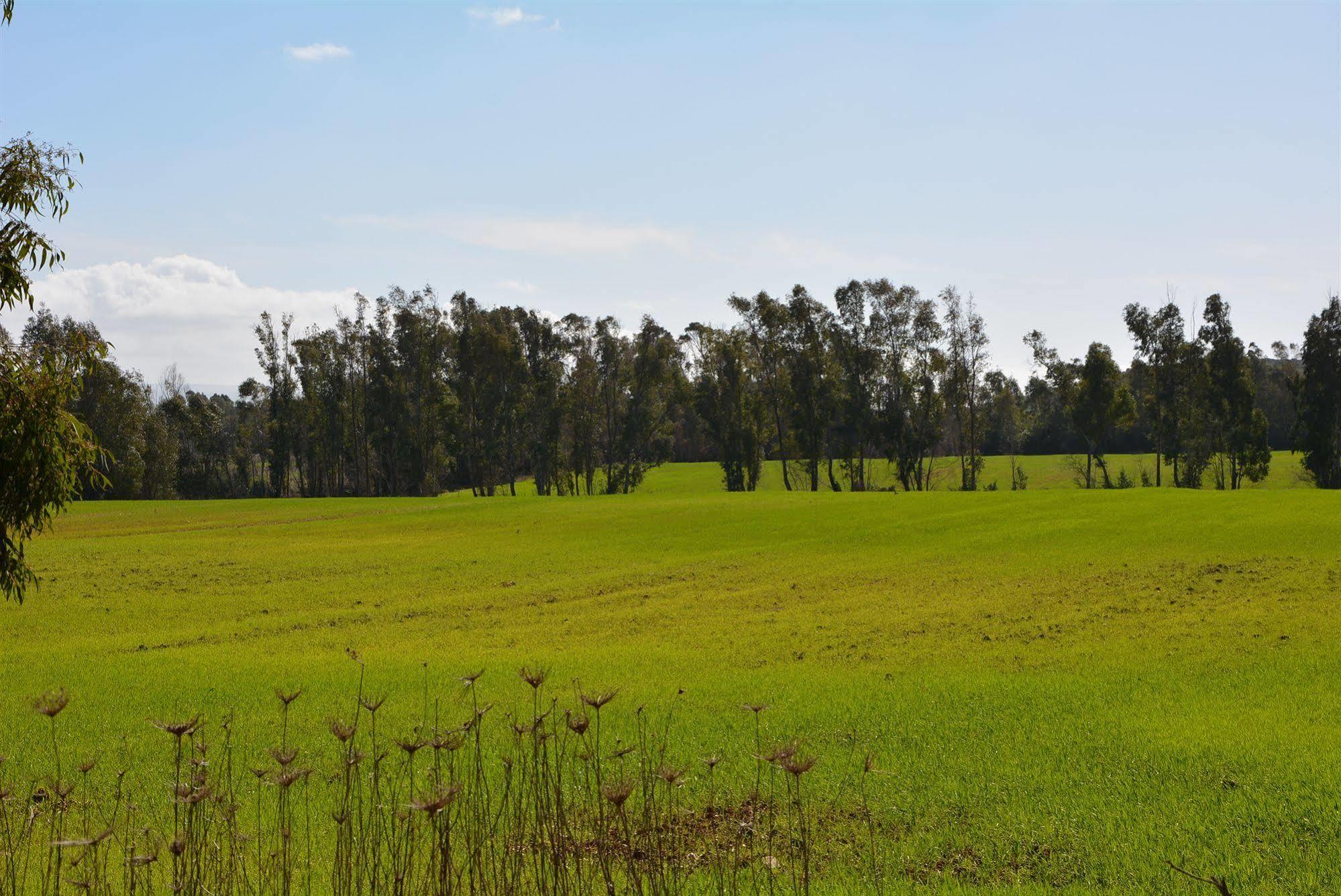 Agriturismo Sa Murta In Sennariolo-Oristano Villa Buitenkant foto