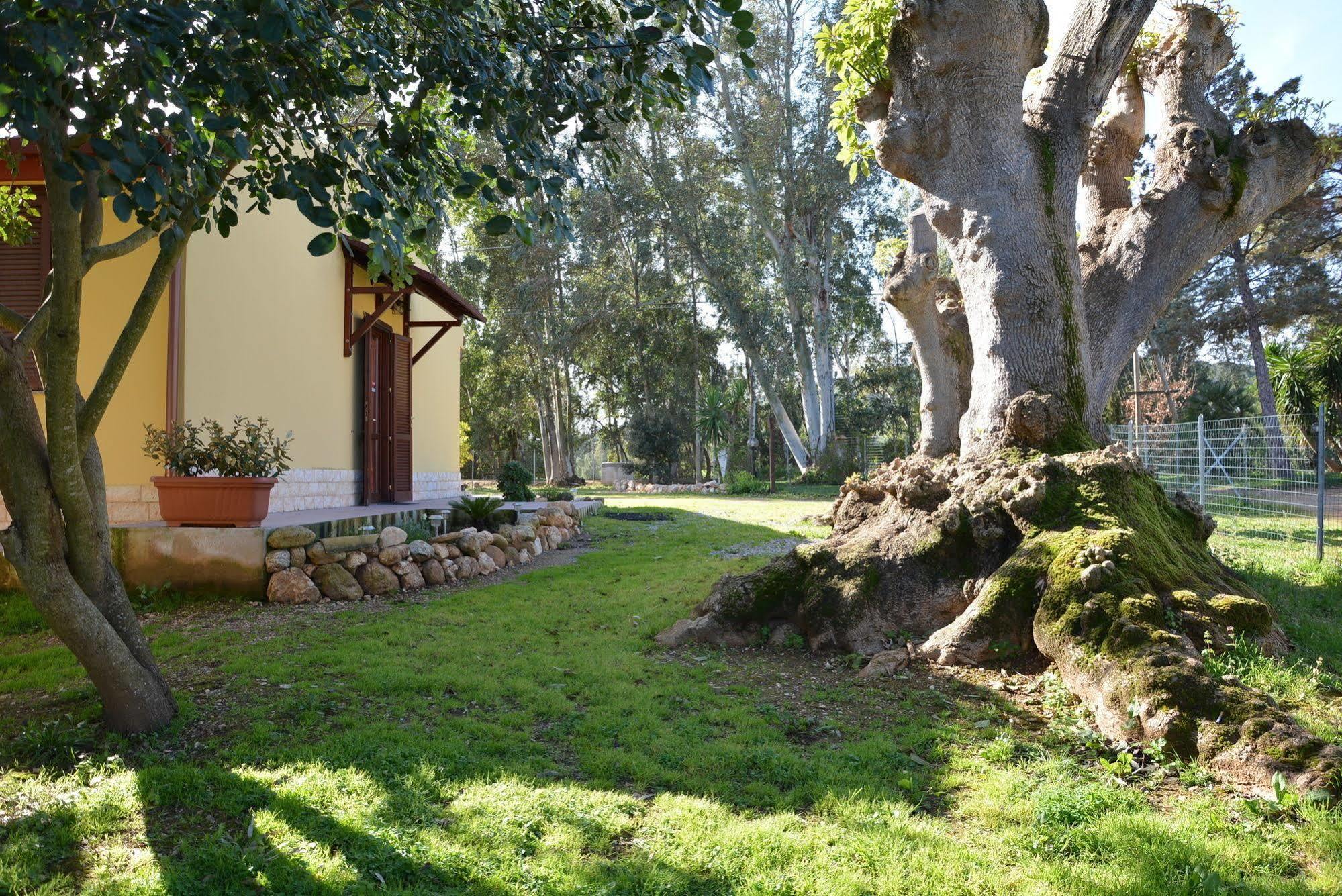 Agriturismo Sa Murta In Sennariolo-Oristano Villa Buitenkant foto